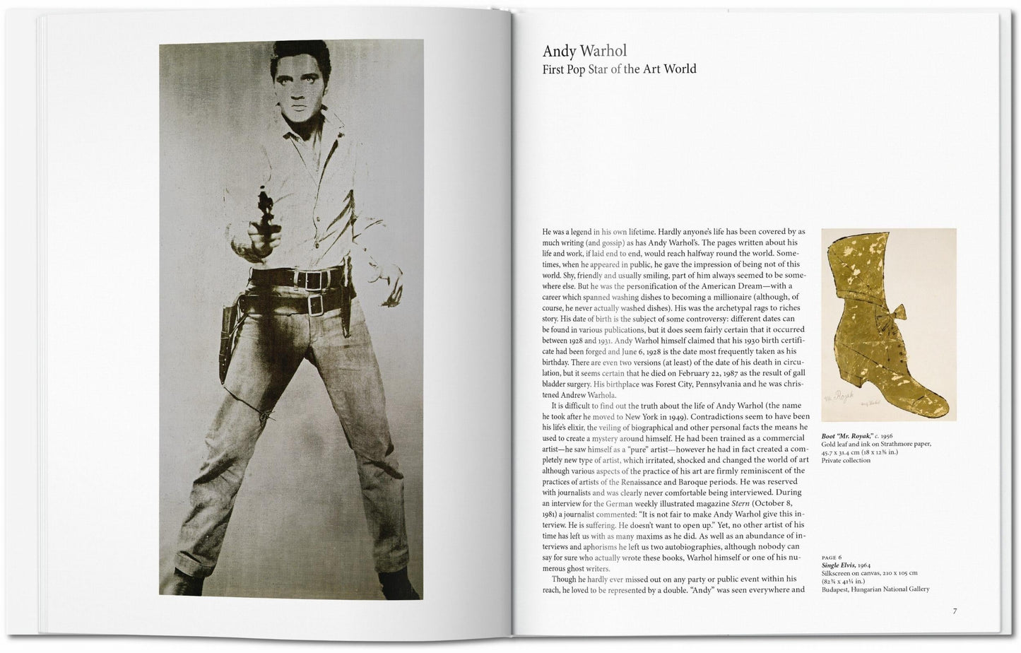 Warhol (English) Book