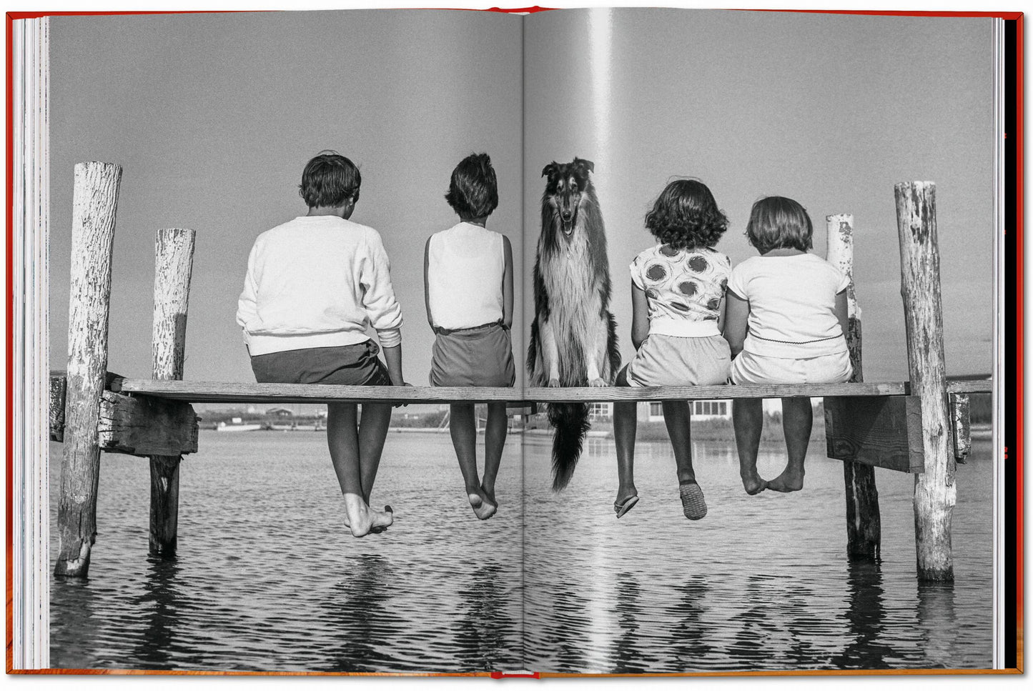Walter Chandoha. Dogs. Photographs 1941–1991 (English) Book