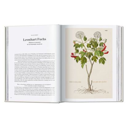 Leonhart Fuchs. The New Herbal (German, French, English) Book