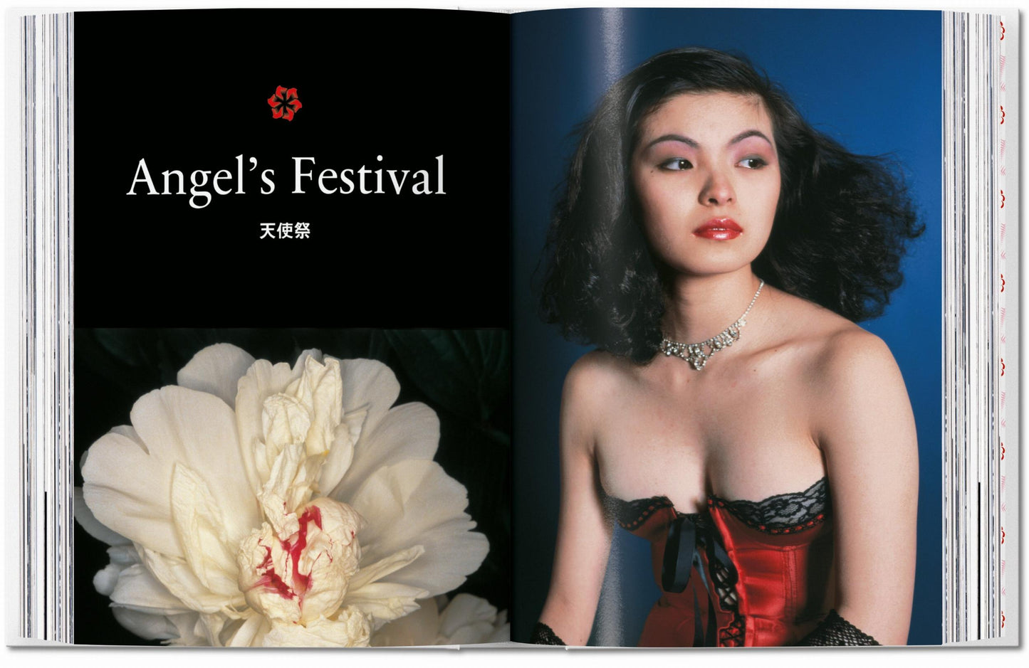 Araki. 45th Ed. (German, French, English) Book