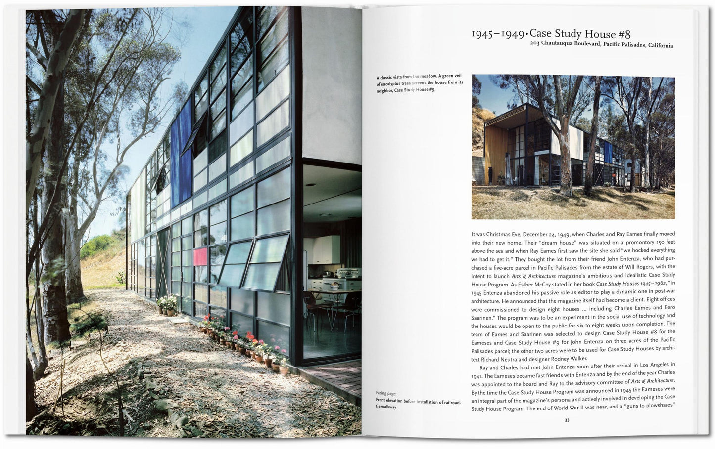 Eames (English) Book