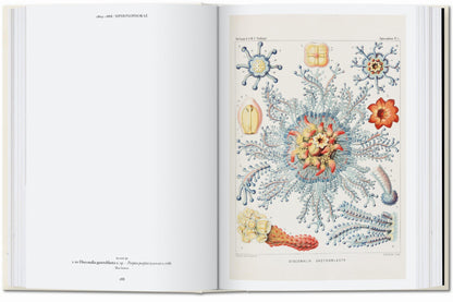 The Art and Science of Ernst Haeckel. 45th Ed. (English) Book