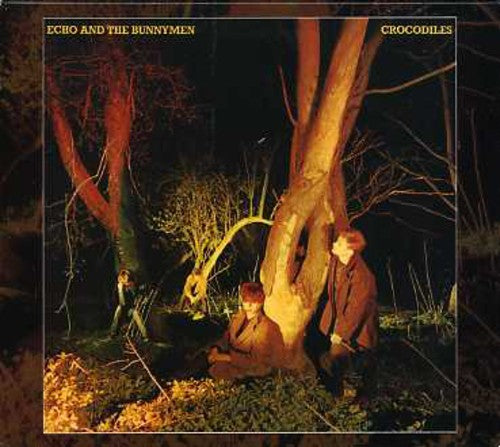 Crocodiles [Import] Music CD