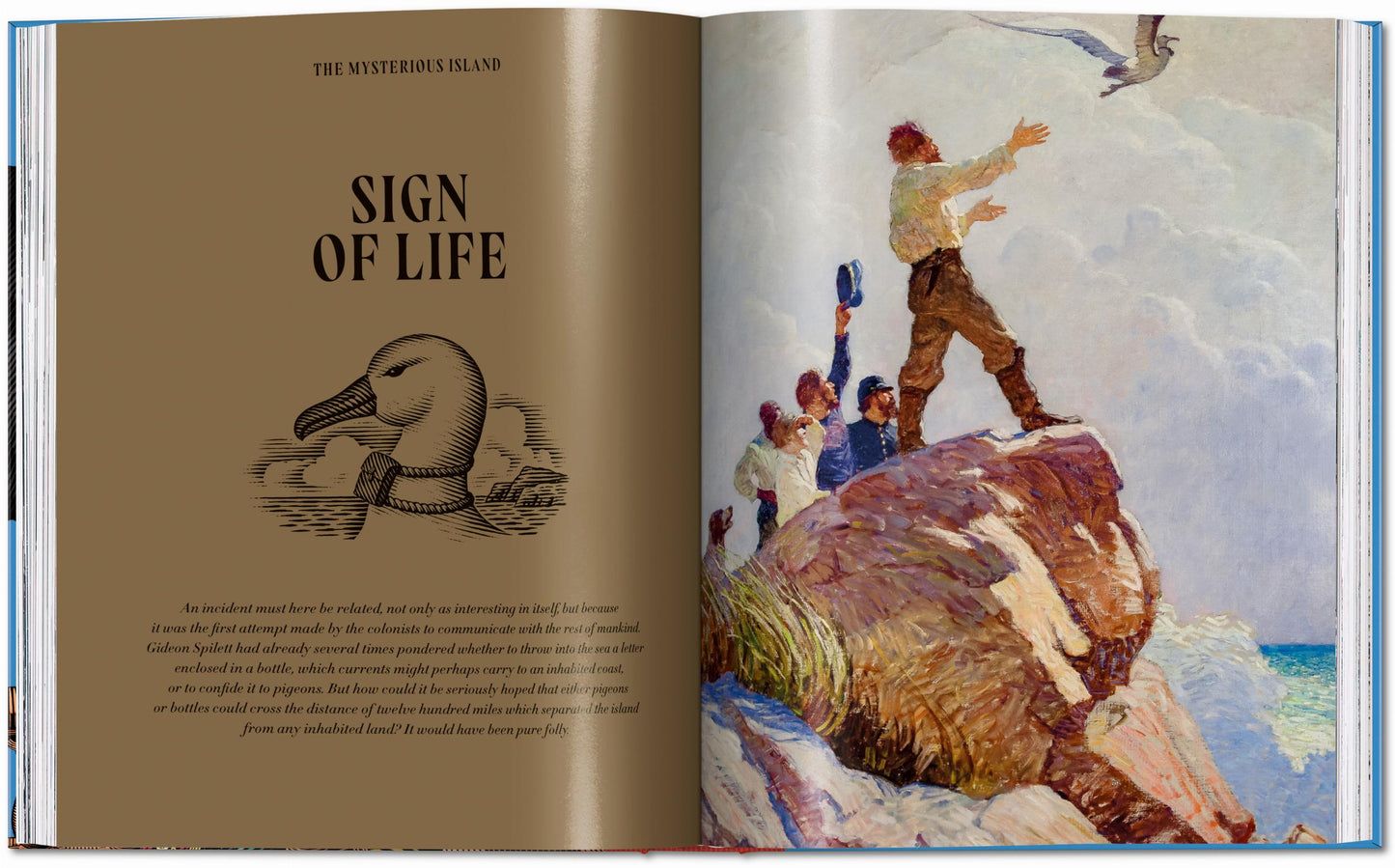 Pirate Tales (English) Book