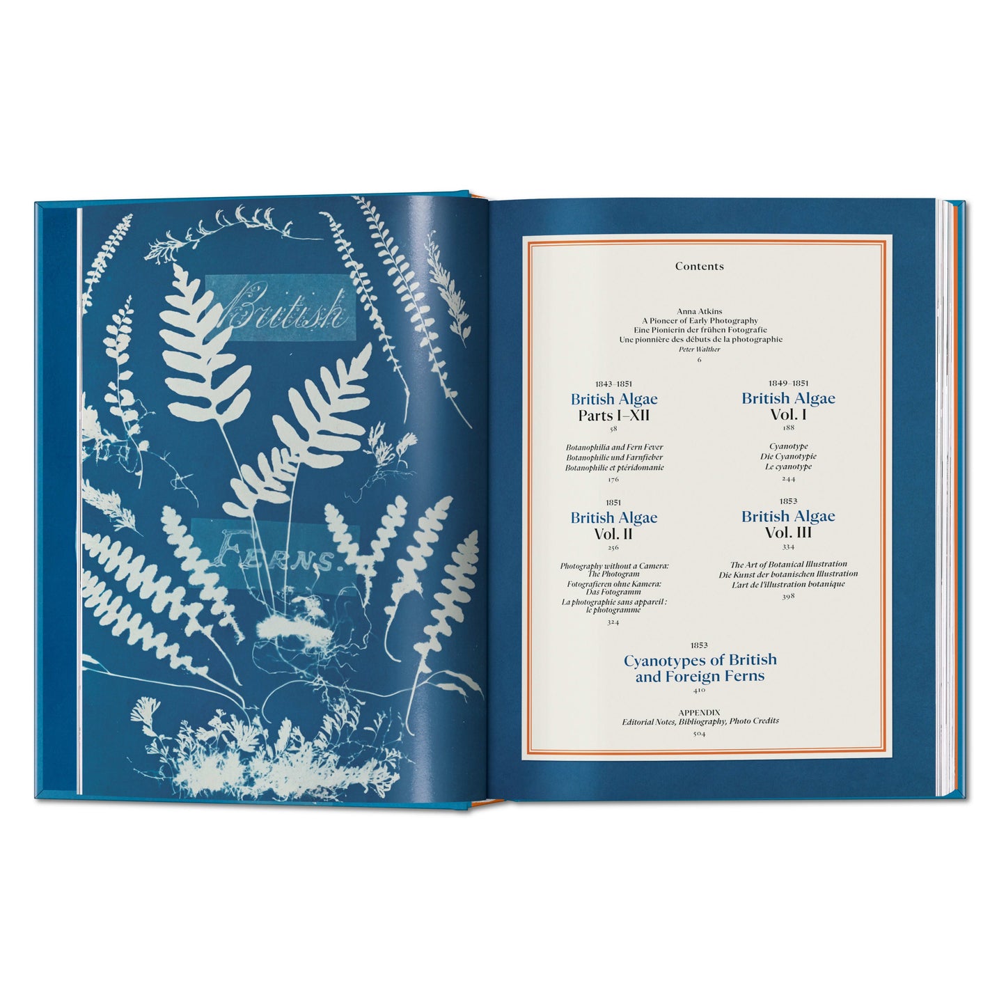 Anna Atkins. Cyanotypes. 45th Ed. (German, French, English) Book