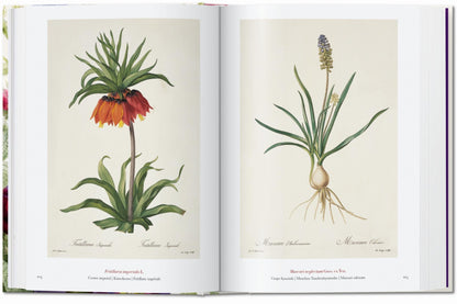 Redouté. The Book of Flowers. 45th Ed. (German, French, English) Book