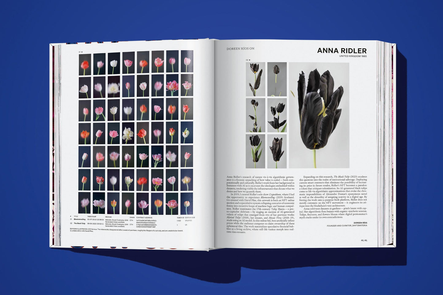 On NFTs (English) Book