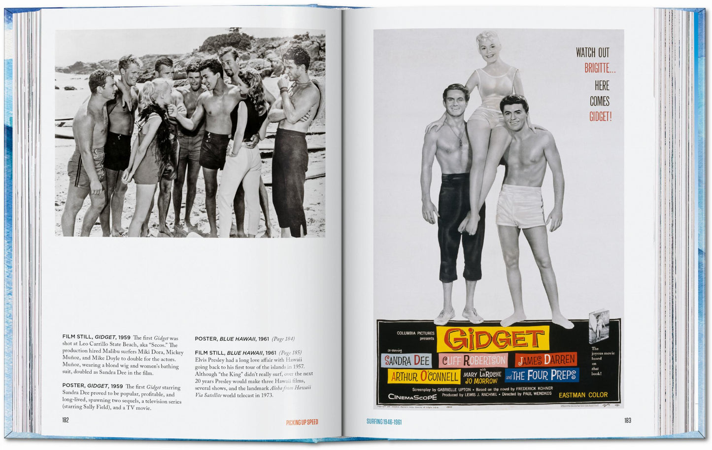Surfing. 1778–Today. 40th Ed. (English) Book