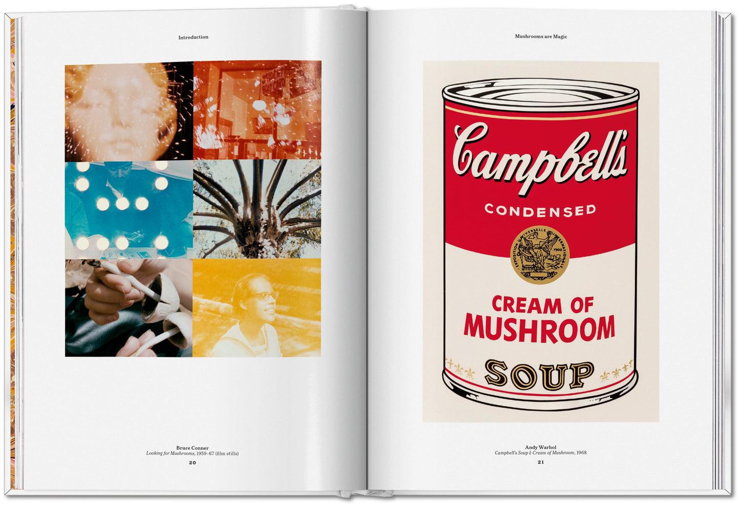 The Gourmand's Mushroom. A Collection of Stories and Recipes (English) Book