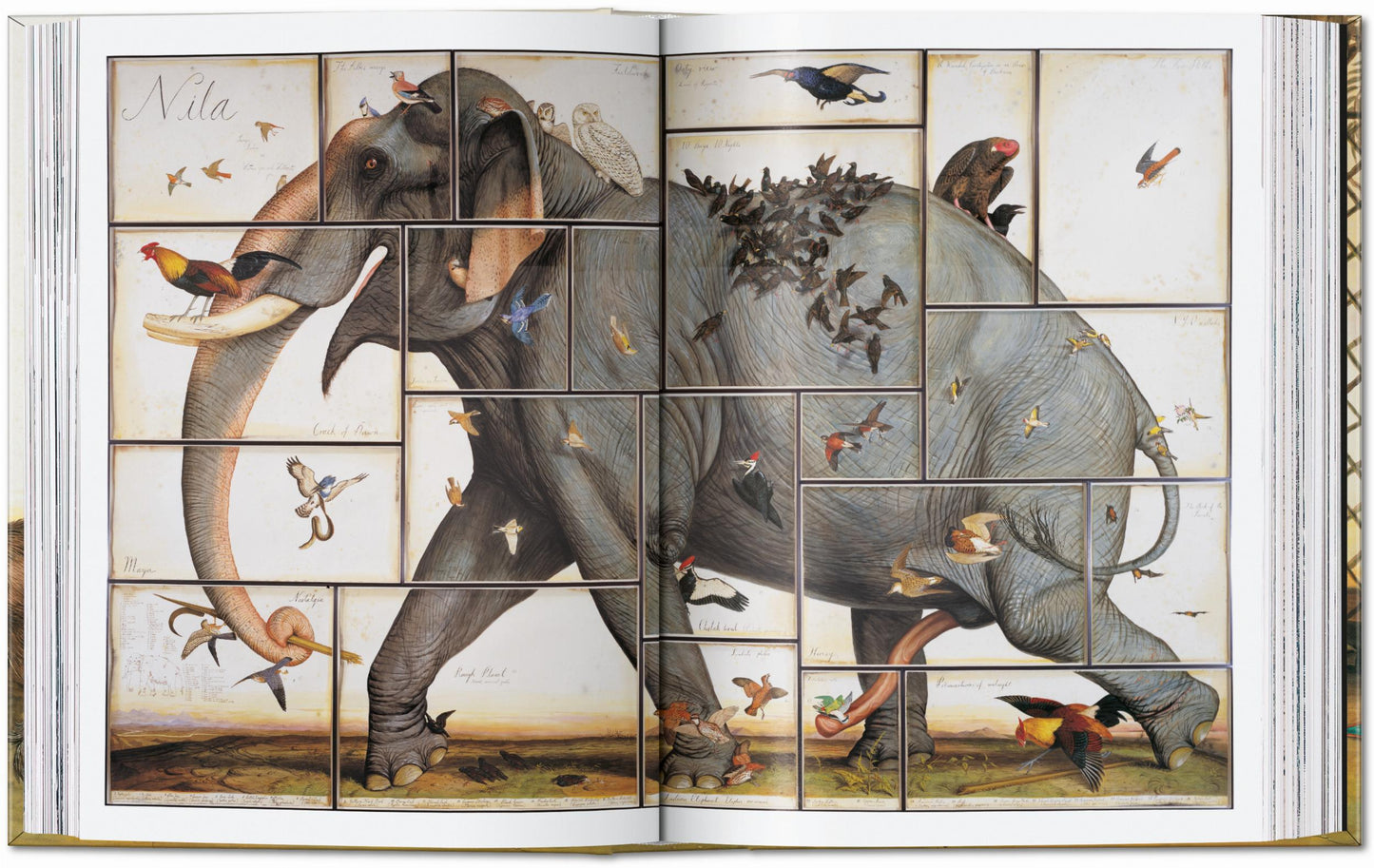 Walton Ford. 40th Ed. (German, French, English) Book
