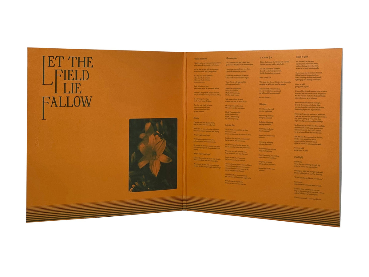 The Antlers - Green to Gold (Limited Edition Opaque Tan Colored Vinyl) Vinyl Record