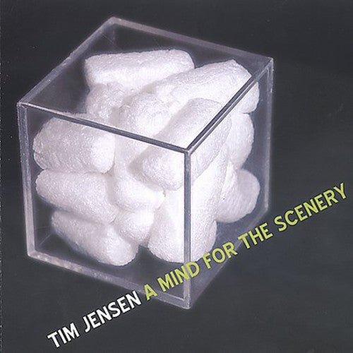 Jensen,tim - Mind For Scenery - Music CD