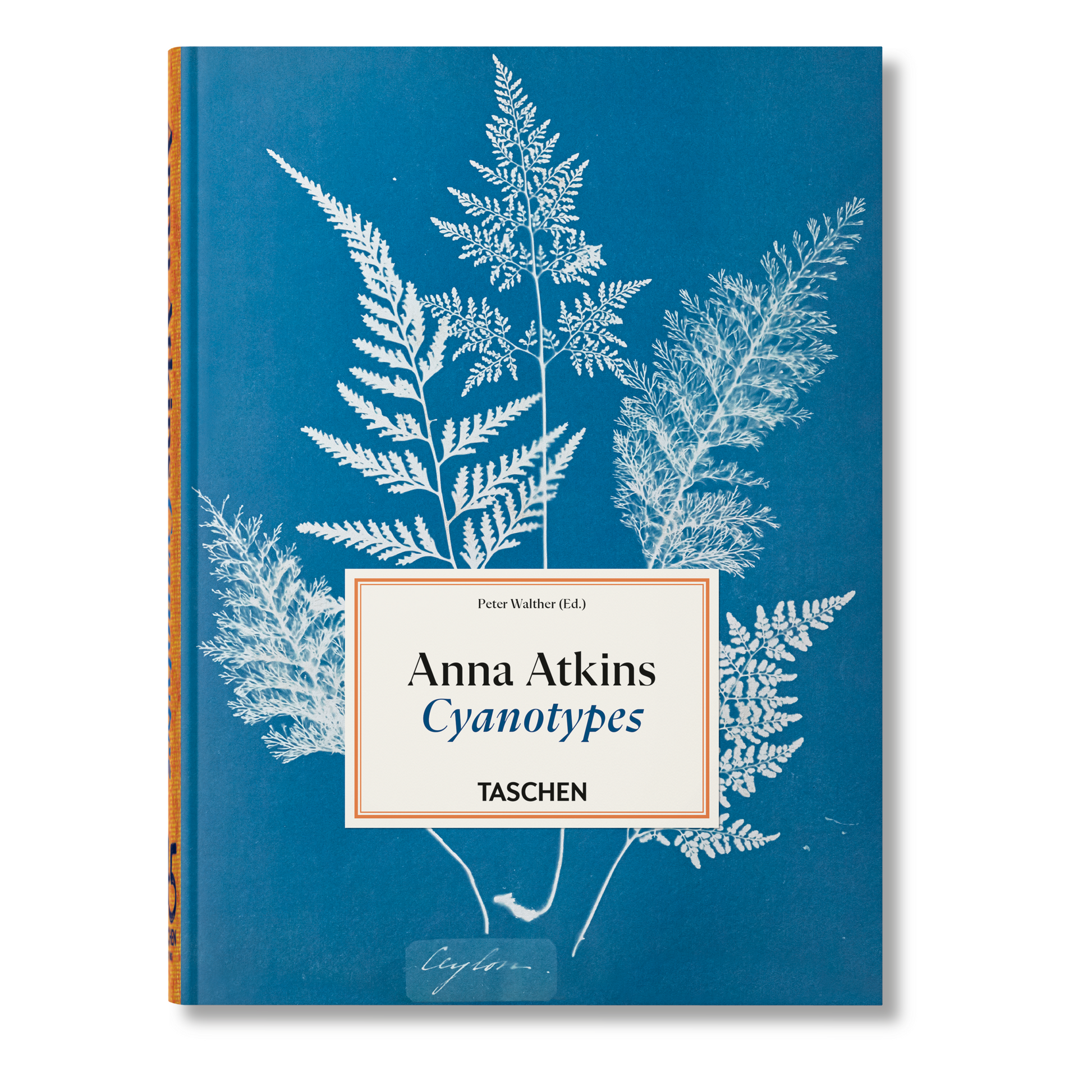 Anna Atkins. Cyanotypes. 45th Ed. (German, French, English) Book