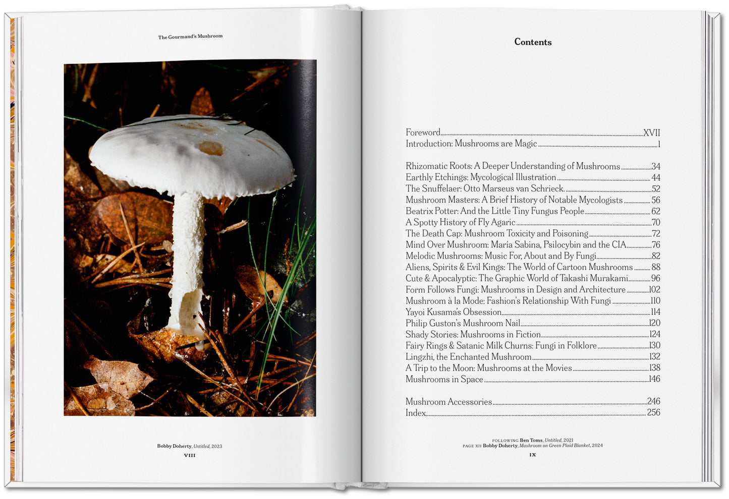 The Gourmand's Mushroom. A Collection of Stories and Recipes (English) Book