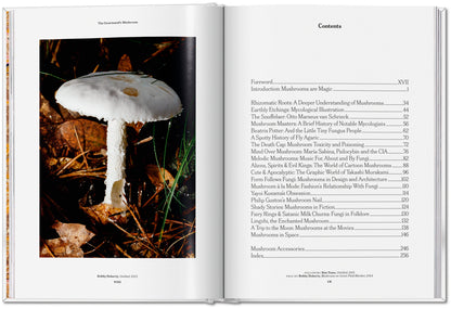 The Gourmand's Mushroom. A Collection of Stories and Recipes (English) Book