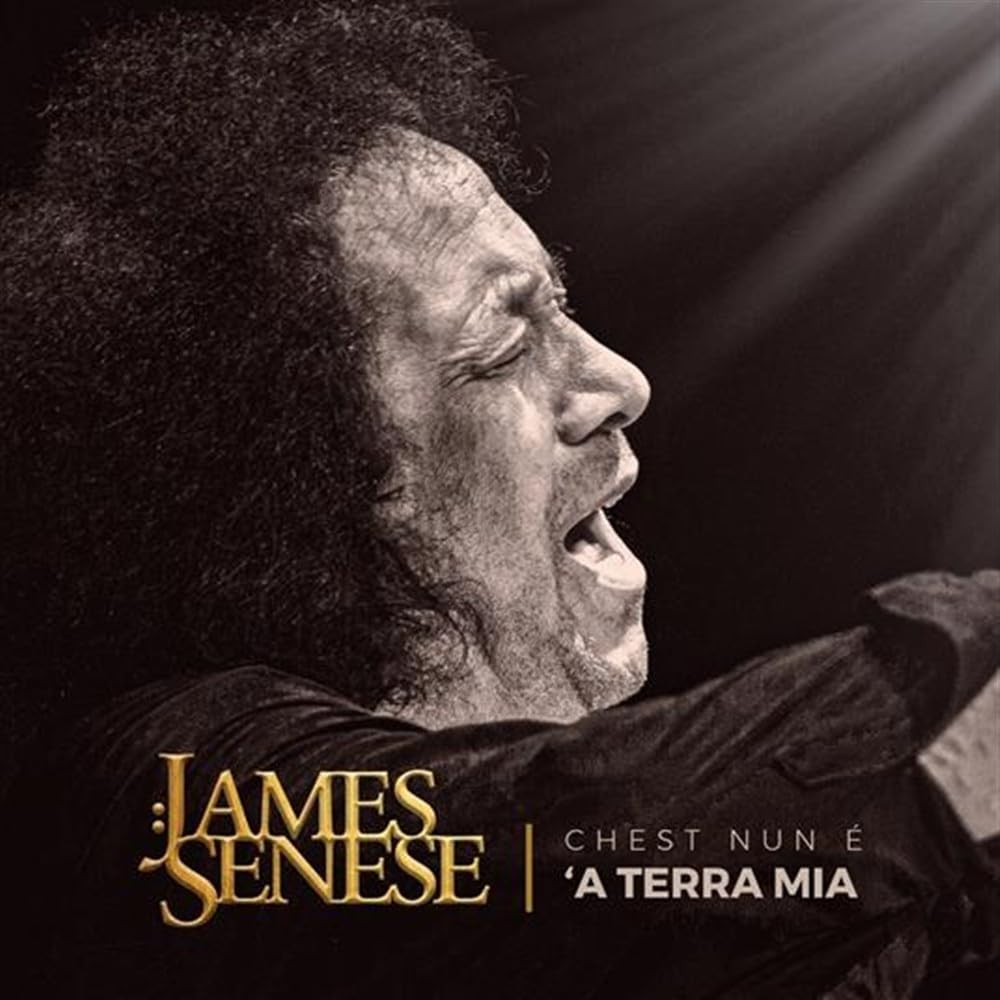 James Senese - Chest Nun A A Terra Mia (Ita) [LP] Vinyl Record Album Cover