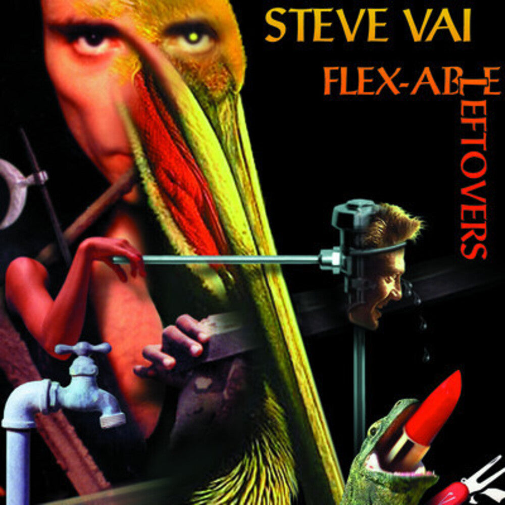 Flexable Leftovers Music CD