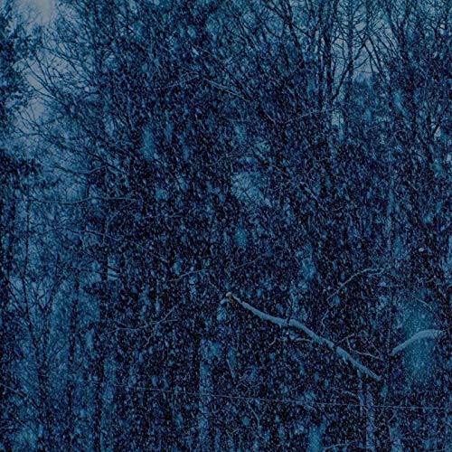 Jesu - Never [LP] Vinyl Record Album Cover