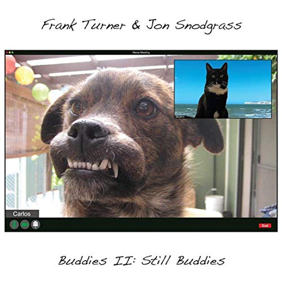 Frank Turner / Snodgrass,Jon - Buddies II: Still Buddies [LP] Vinyl Record Album Cover