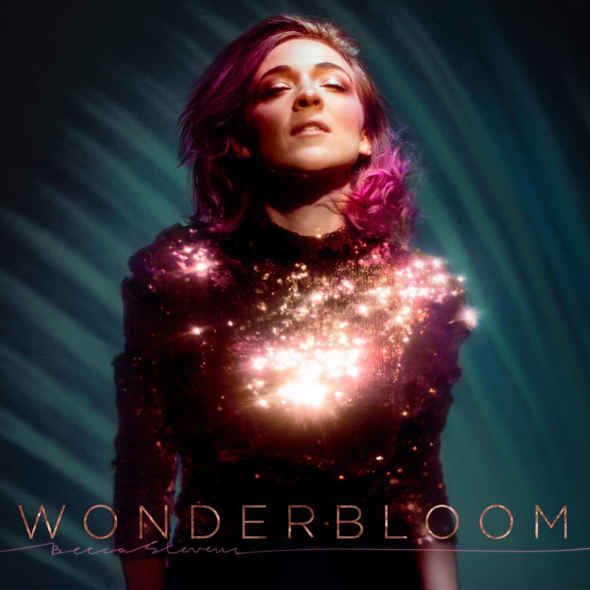 Becca Stevens - Wonderbloom [LP] Vinyl Record Album Cover