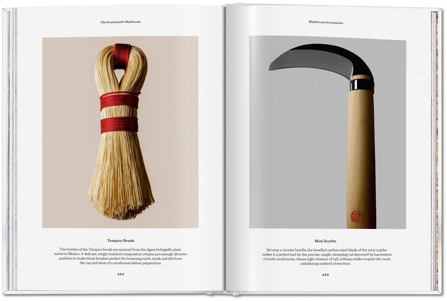 The Gourmand's Mushroom. A Collection of Stories and Recipes (English) Book
