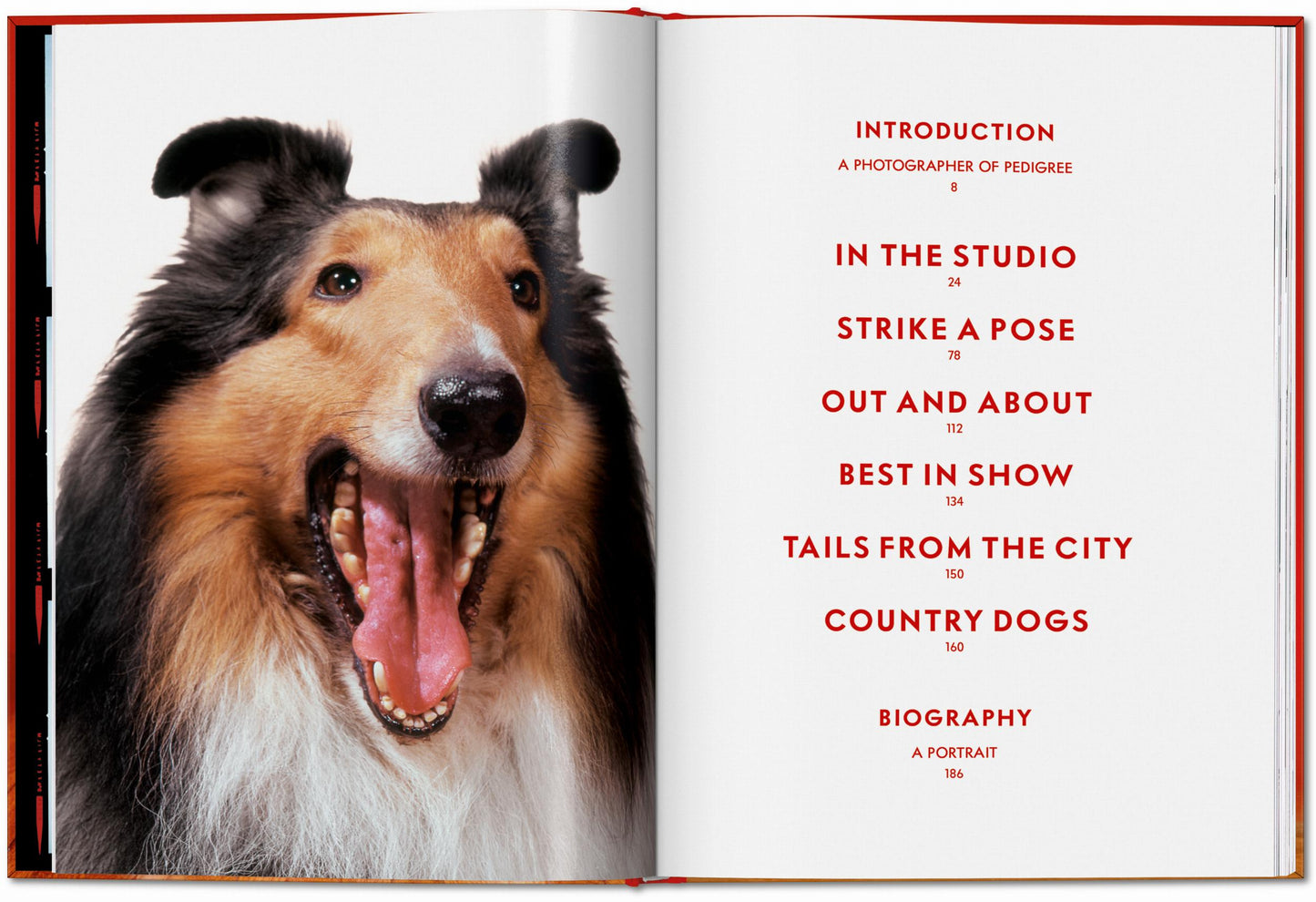 Walter Chandoha. Dogs. Photographs 1941–1991 (English) Book
