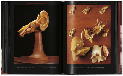 Anatomical Waxes. 45th Ed. (German, French, English) Book