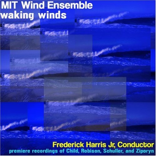 the album cover for Mit Wind Ens - Waking Wings