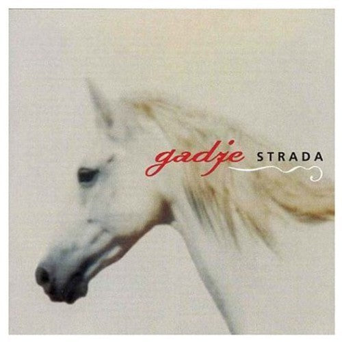 the album cover for Gadje Strada - Nomadic Music