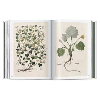 Leonhart Fuchs. The New Herbal (German, French, English) Book