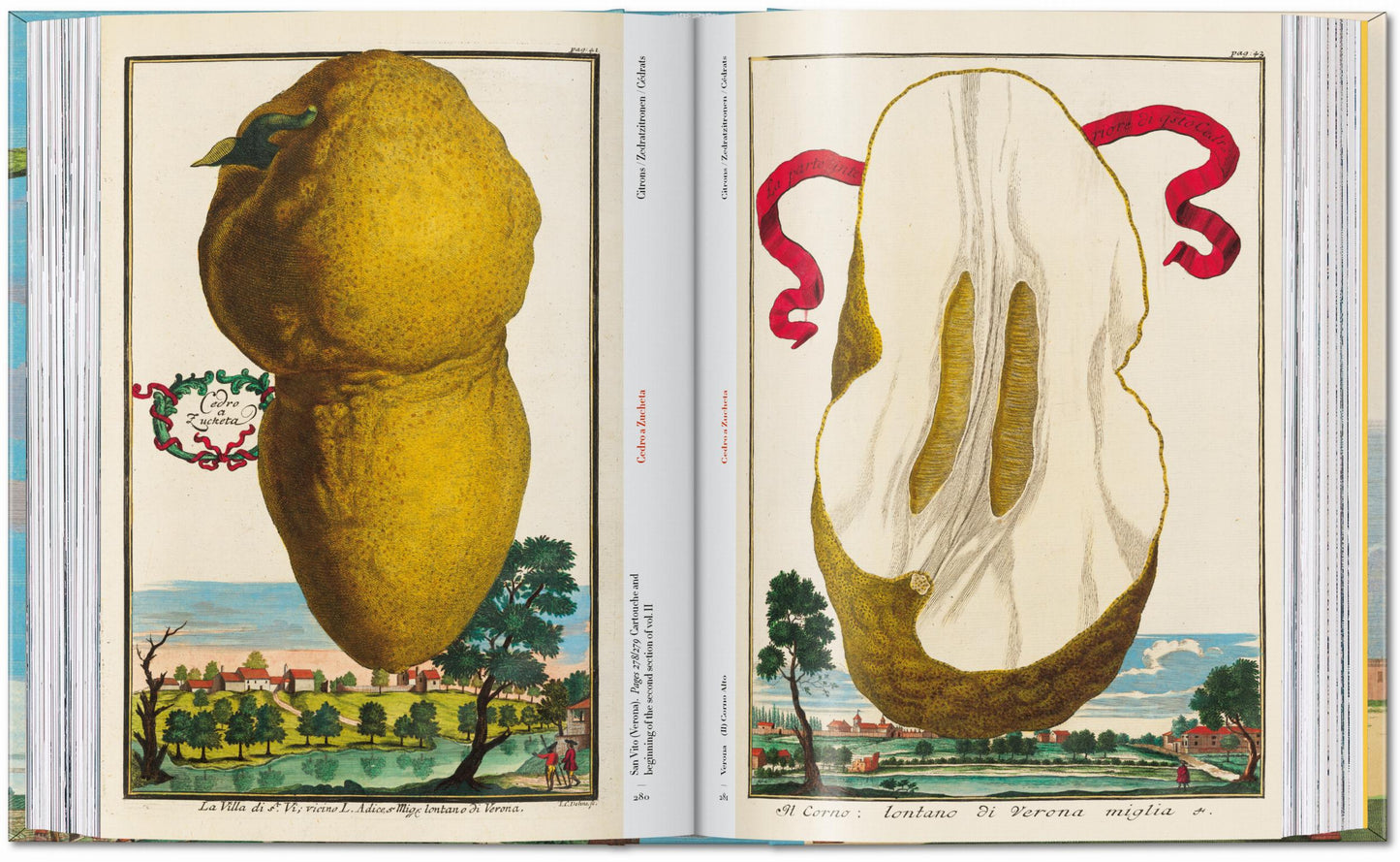 J. C. Volkamer. The Book of Citrus Fruits. 45th Ed. (German, French, English) Book