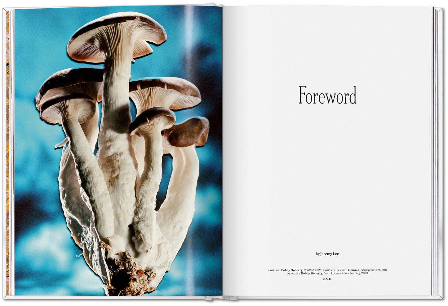 The Gourmand's Mushroom. A Collection of Stories and Recipes (English) Book