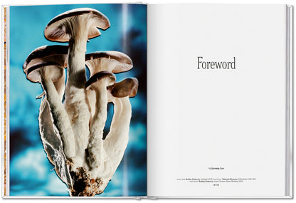 The Gourmand's Mushroom. A Collection of Stories and Recipes (English) Book