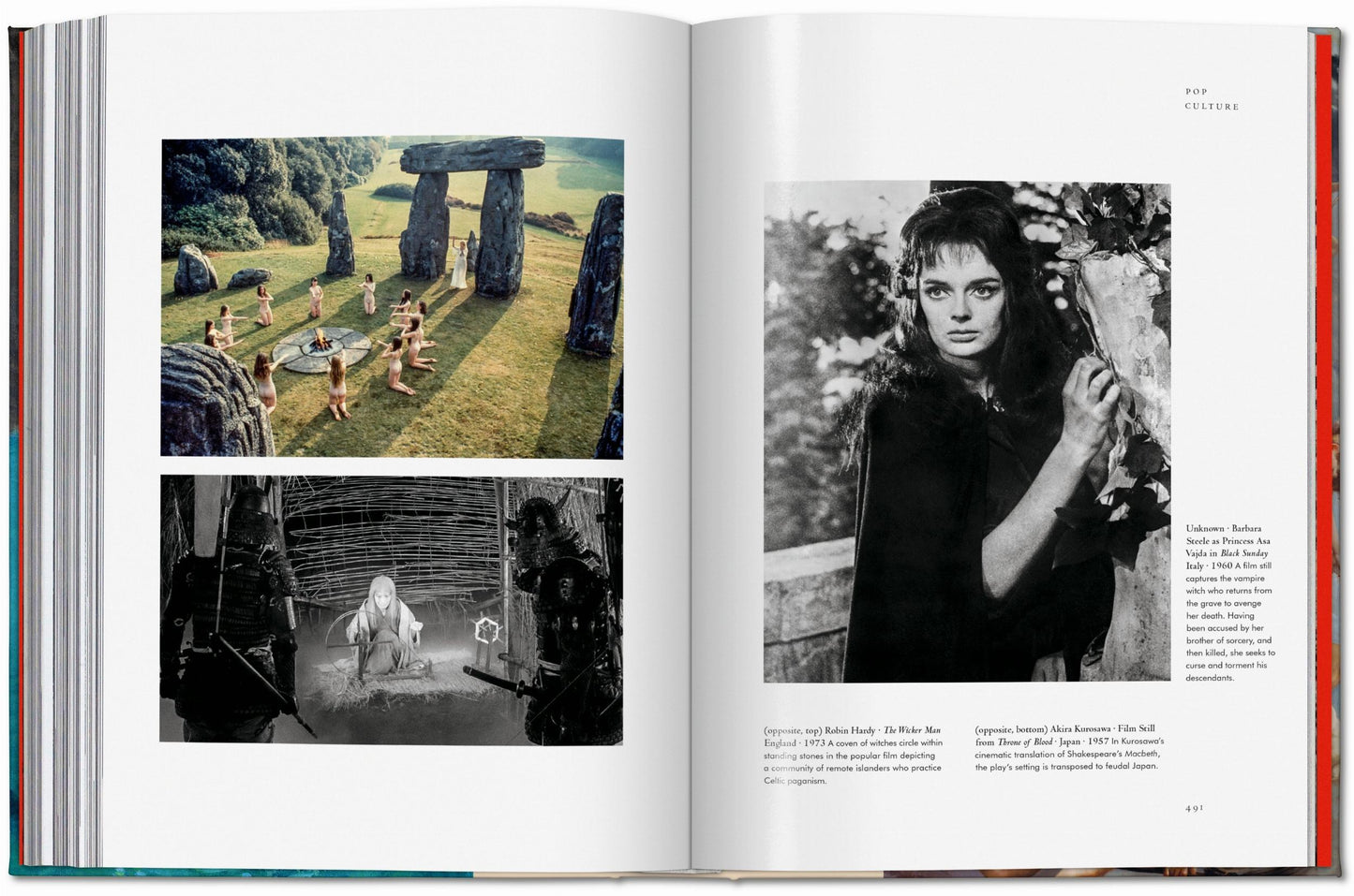 Witchcraft. The Library of Esoterica (English) Book
