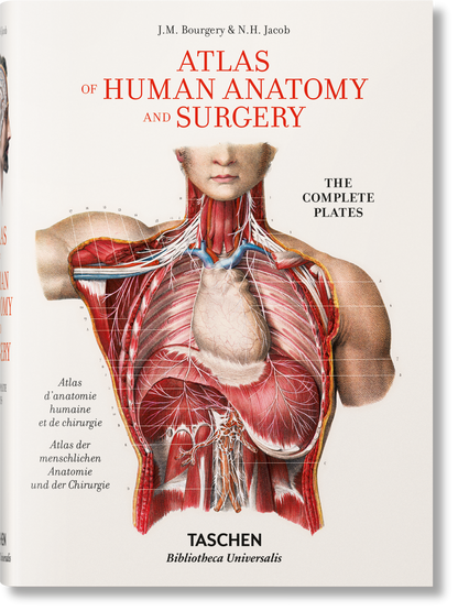 Bourgery. Atlas of Human Anatomy and Surgery (German, French, English) Book