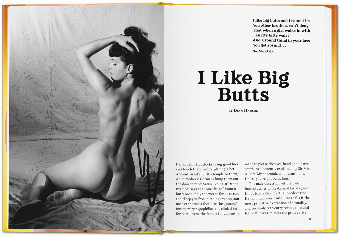 The Little Big Butt Book (German, French, English) Book