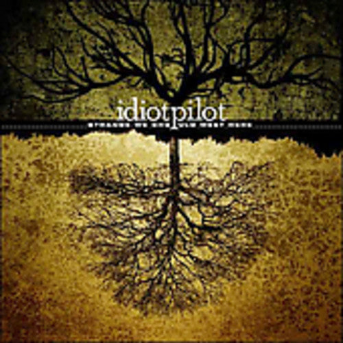 the album cover for Idiot Pilot - Strange We Should Meet Here