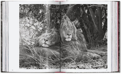 Sebastião Salgado. Genesis. 45th Ed. (English) Book