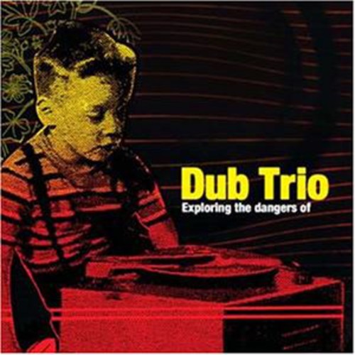 Exploring the Dangers of [LP] Vinyl Record