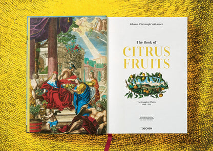 J. C. Volkamer. The Book of Citrus Fruits (German, French, English) Book