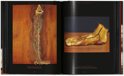 Anatomical Waxes. 45th Ed. (German, French, English) Book