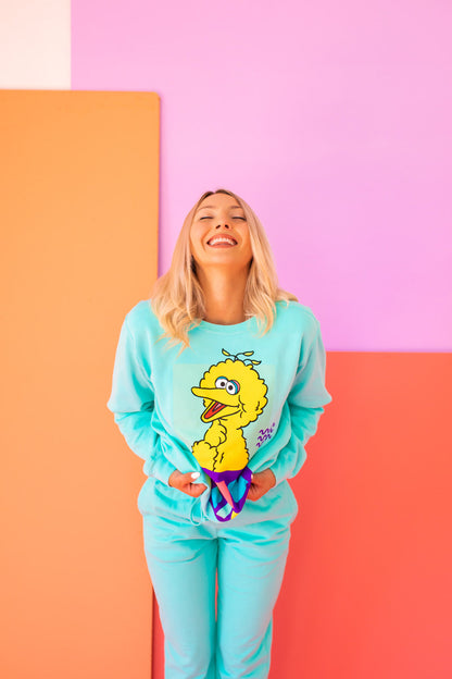 Big Bird Sweatshirt