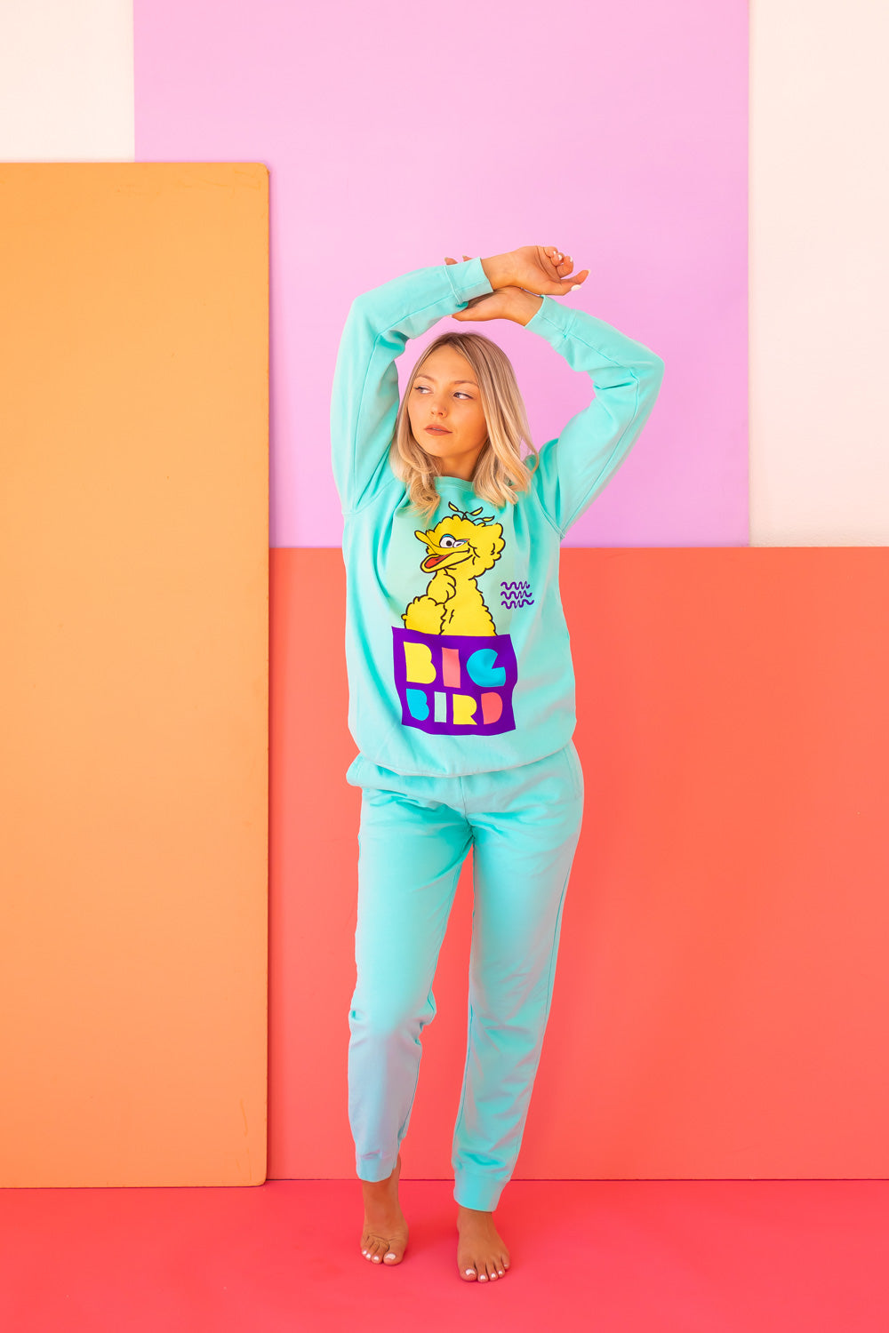 Big Bird Sweatshirt