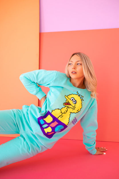 Big Bird Sweatshirt