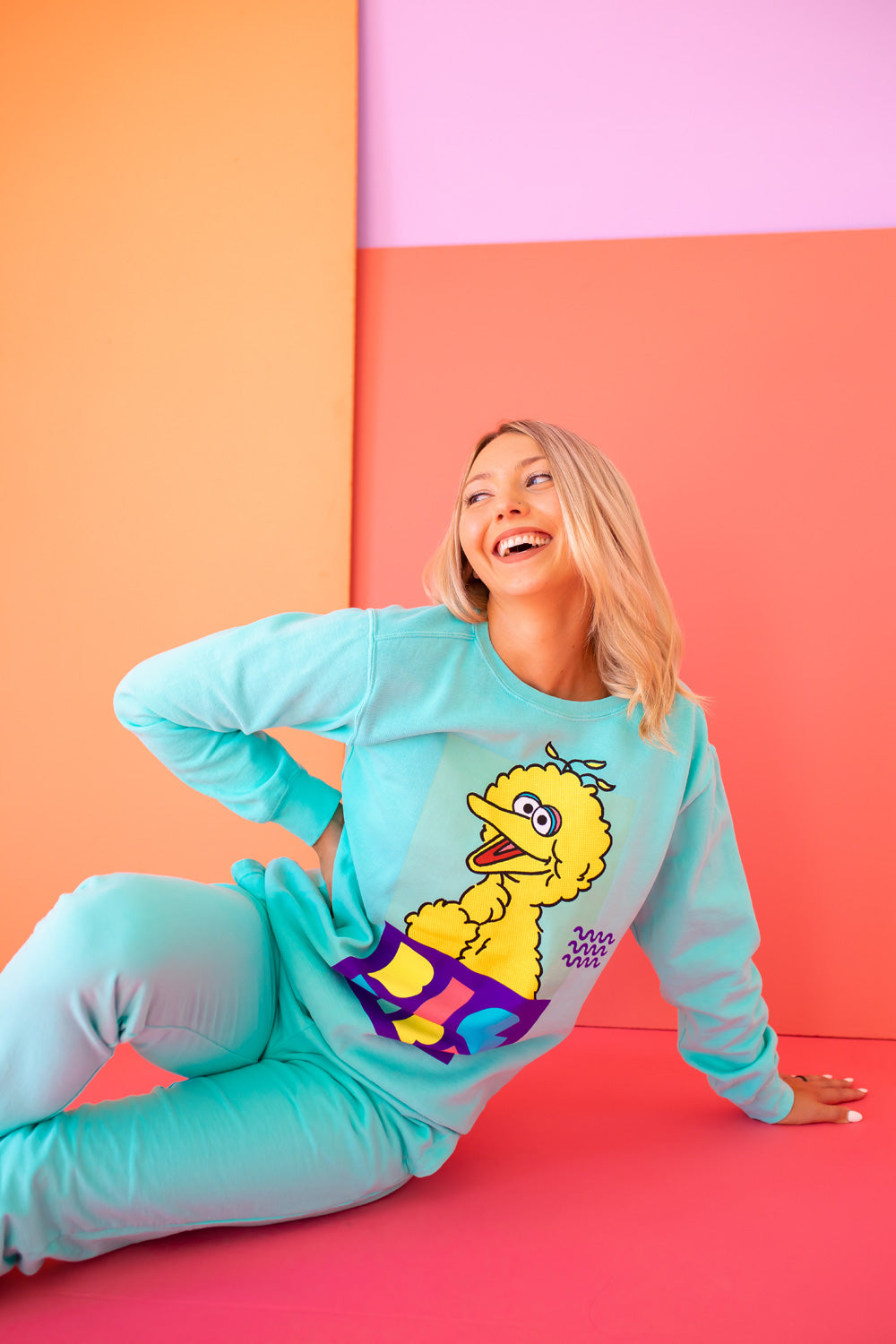 Big Bird Sweatshirt