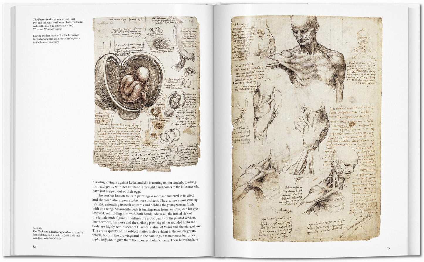 Leonardo (English) Book