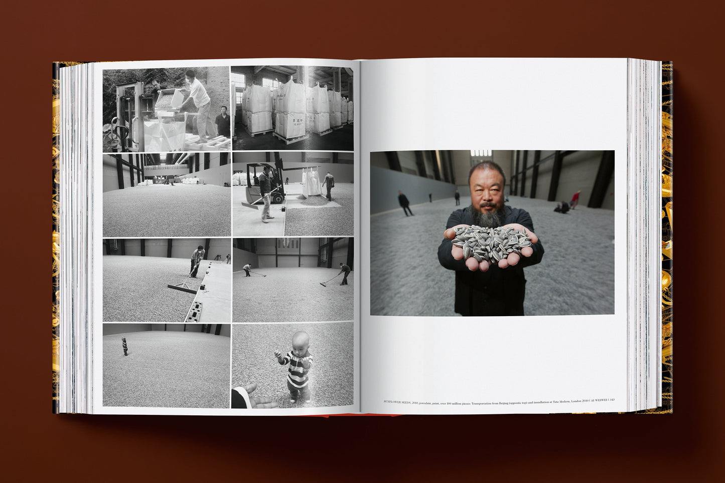 Ai Weiwei. Updated Edition (German, French, English) Book