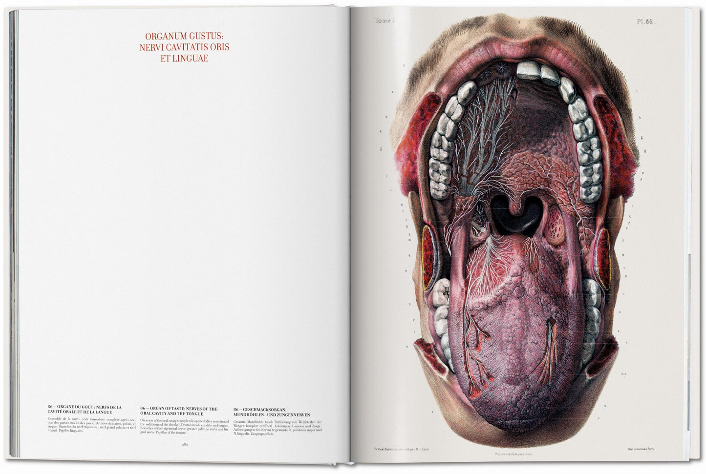 Bourgery. Atlas of Human Anatomy and Surgery (German, French, English) Book