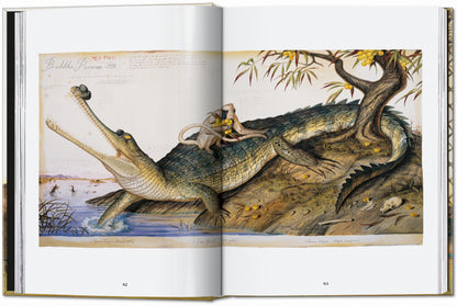Walton Ford. 40th Ed. (German, French, English) Book