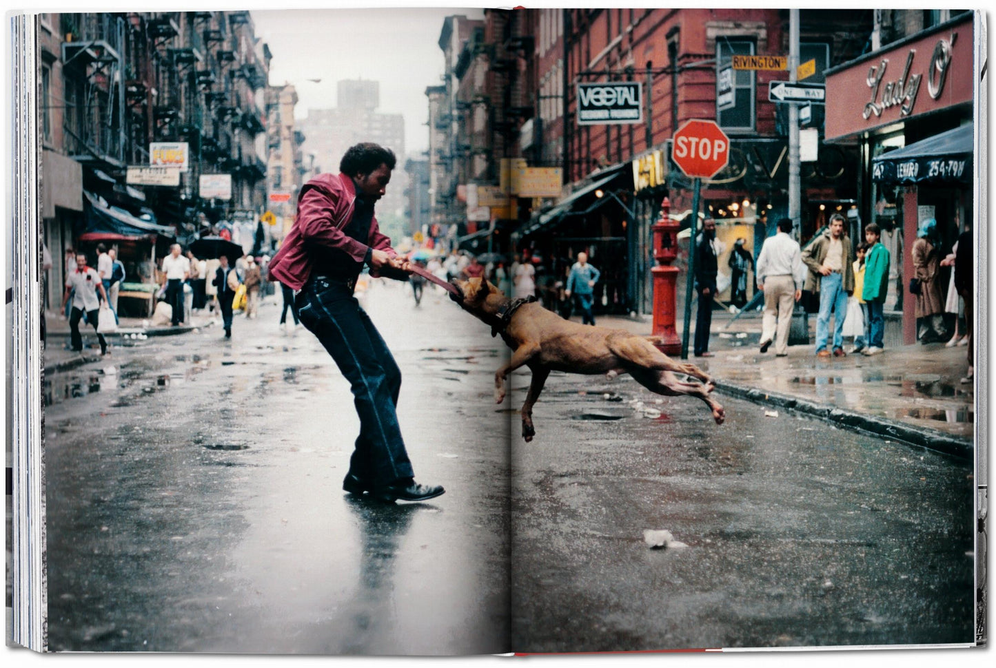 New York. Portrait of a City (German, French, English) Book